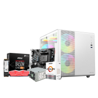 AMD Athlon 3000G Desktop PC